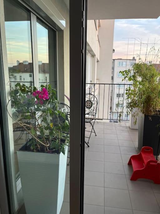 Apartment In Historical Center With Park View 比尔森 外观 照片