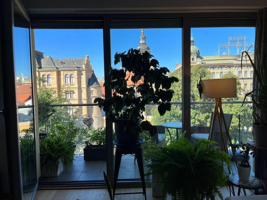 Apartment In Historical Center With Park View 比尔森 外观 照片