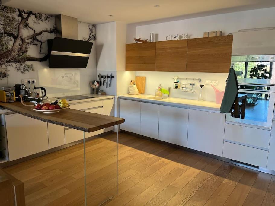 Apartment In Historical Center With Park View 比尔森 外观 照片