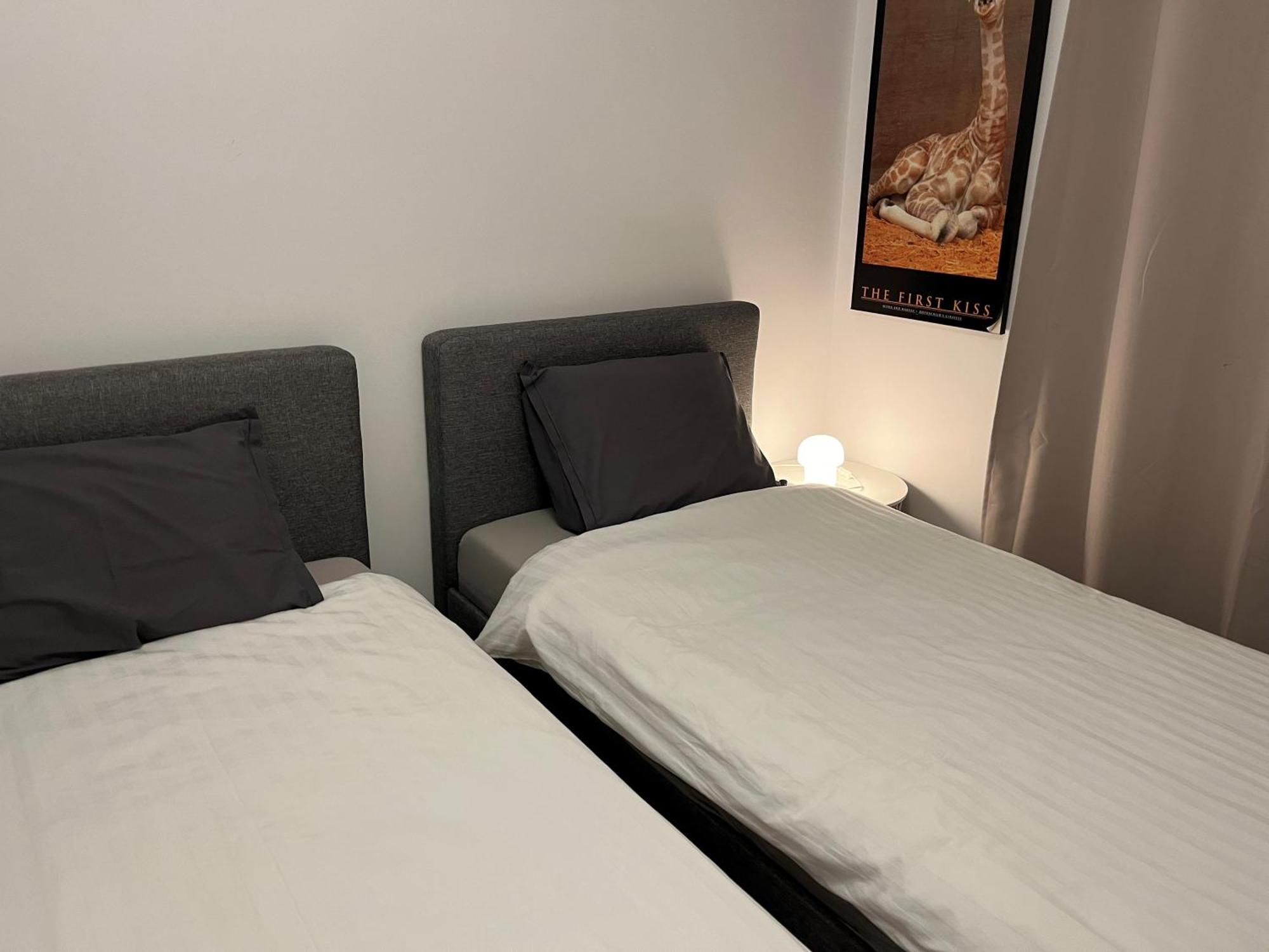 Apartment In Historical Center With Park View 比尔森 外观 照片